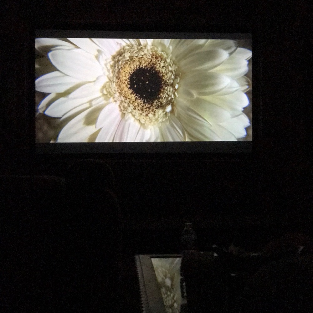 Meet your Posher, Rasco